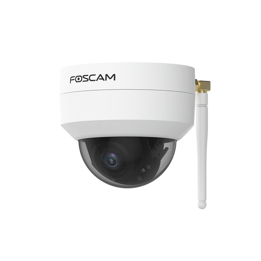 FOSCAM D2EP - Cámara IP POE antivandálica IK10, slot Micro SD,2,0Mpx HD  1080p, AI Detección