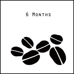 Reborn Coffee Gift Subscription - 6 Months