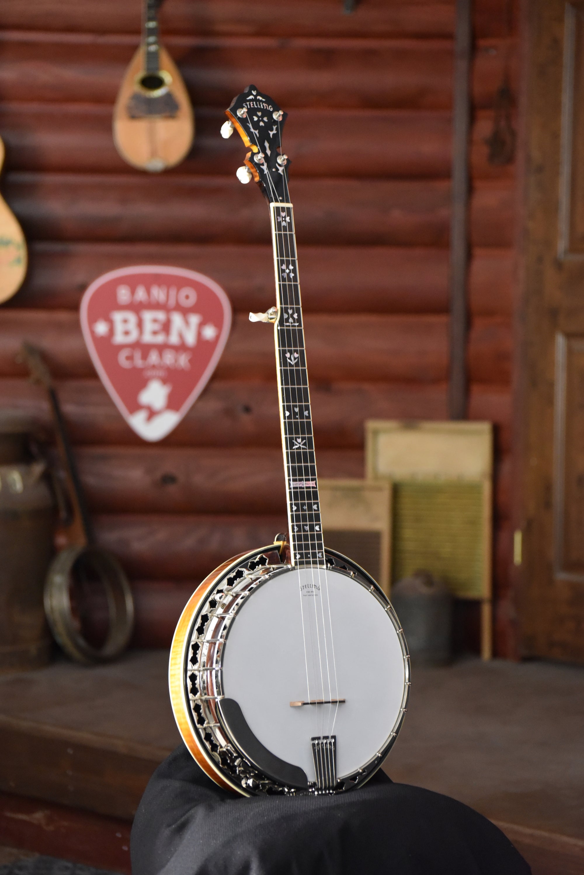 Stelling Sunflower Bluegrass Banjo With Case - Banjo Ben's Store