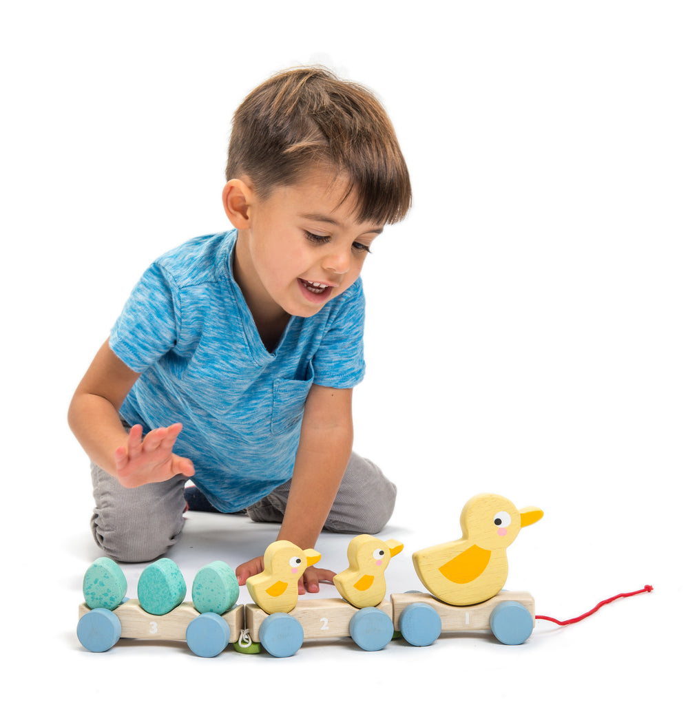 pull along duck toy