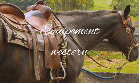 Équipement Western