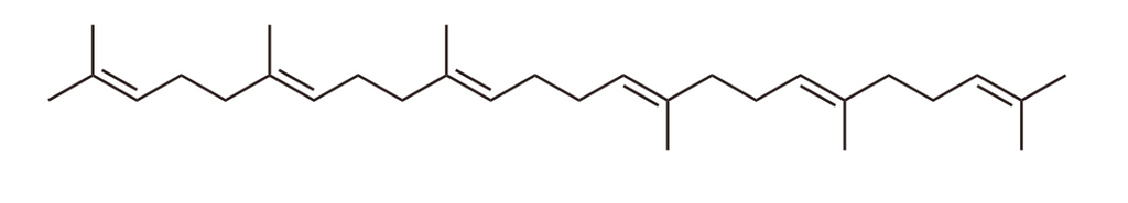 Chemical structure of the triterpene compound, squalene