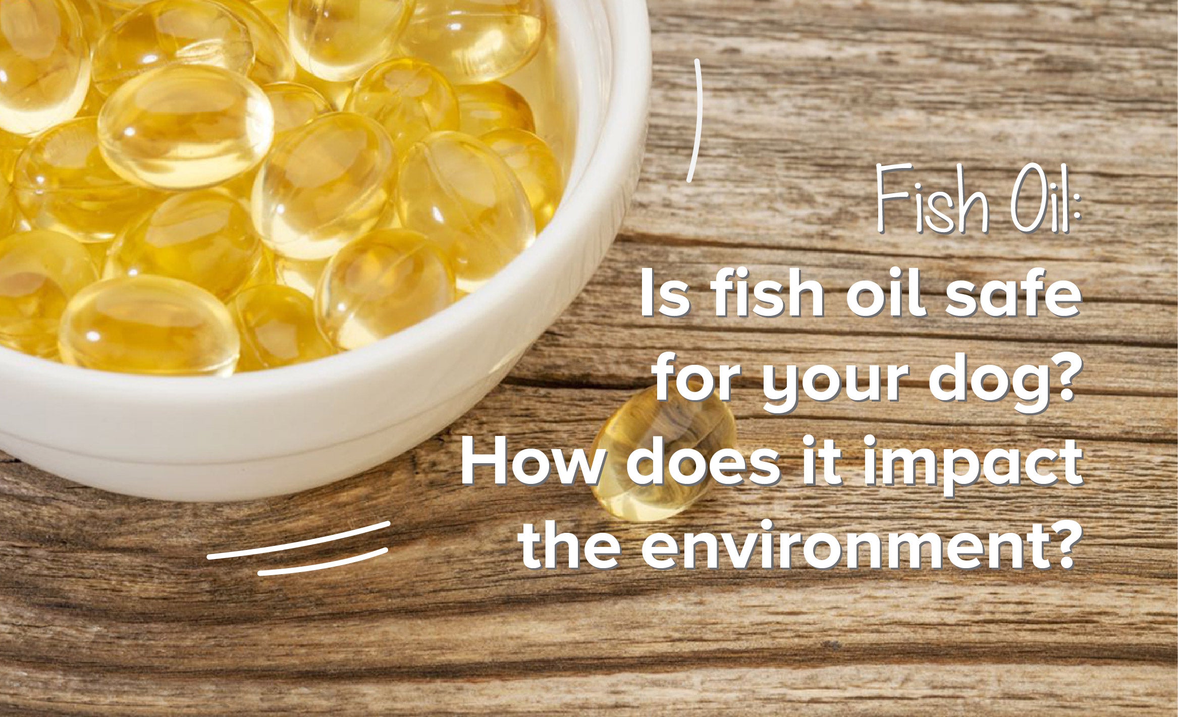 can fish oil kill dogs