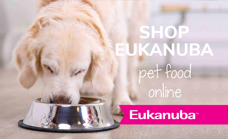 dog food online delivery
