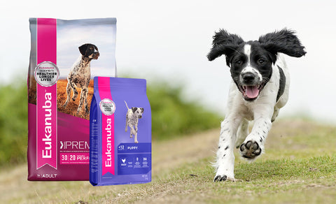 Eukanuba_products