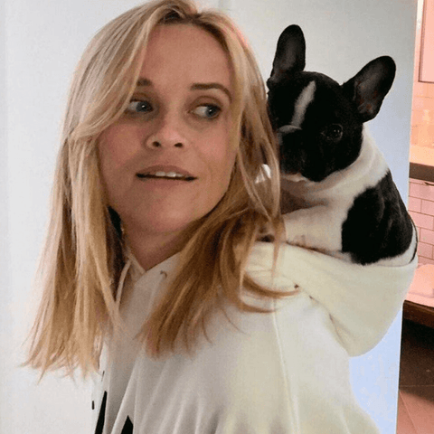 Reese witherspoon and dog