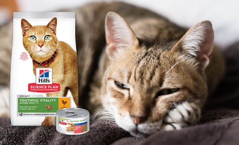 Hill's Pet Youthful Vitality Cat Food 