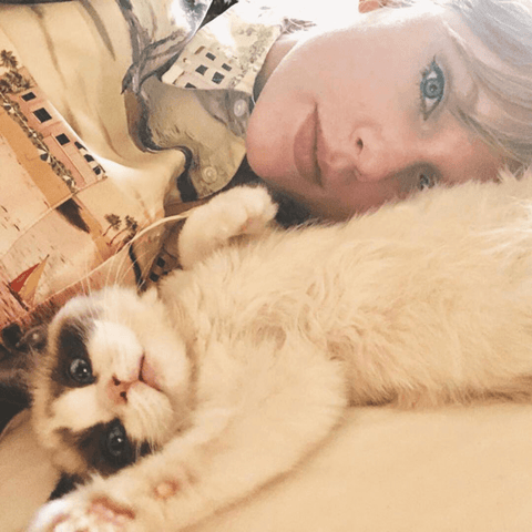 Taylor swift and her cats