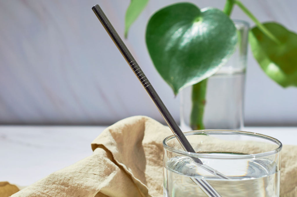 Oceansrespect plastic-free reusable stainless steel straw