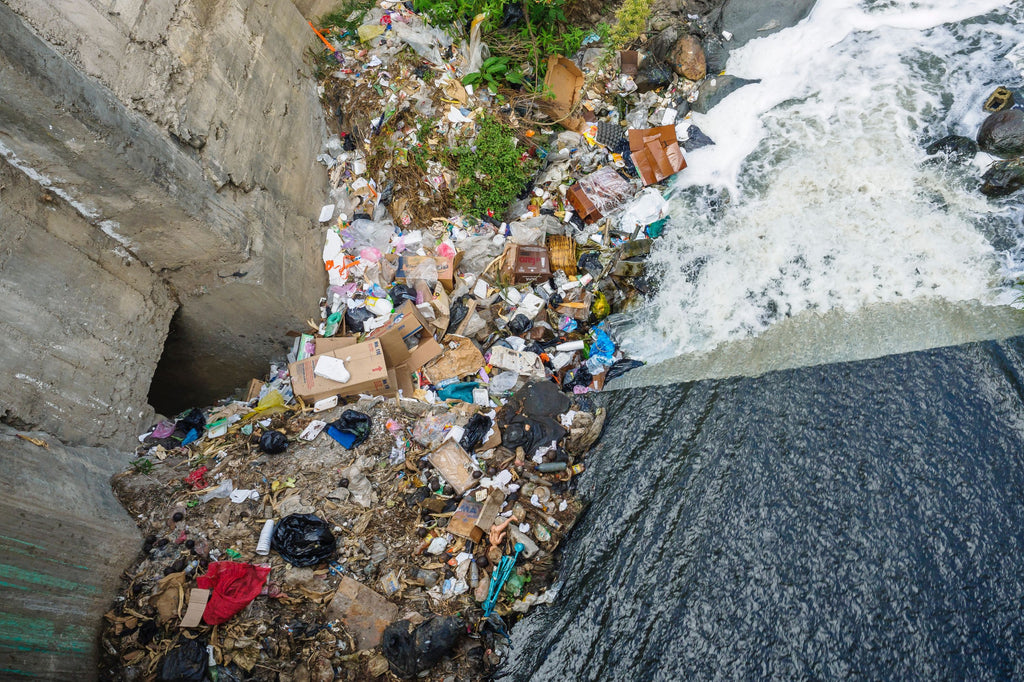 Pollution plastique des océans