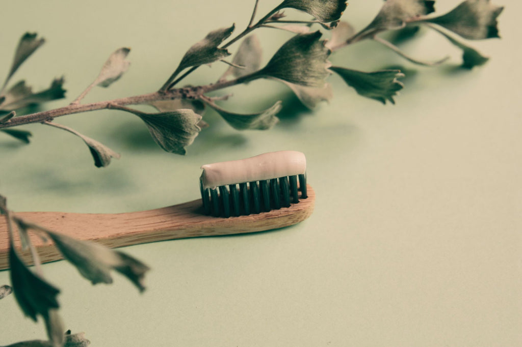 Brosse à dents en bambou Oceansrespect