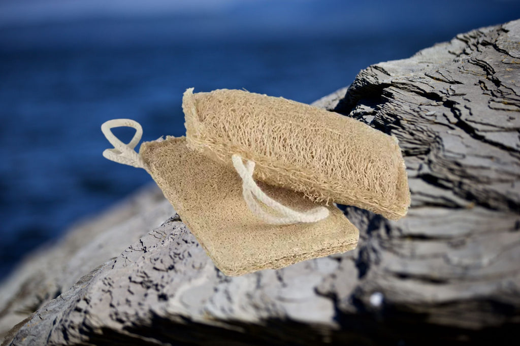 Éponge de cuisine naturelle en luffa Oceansrespect