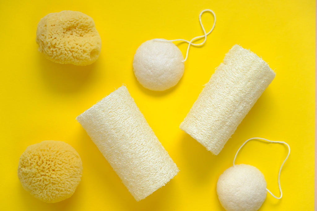 Natural and biodegradable loofah squash kitchen sponge - Oceansrespect