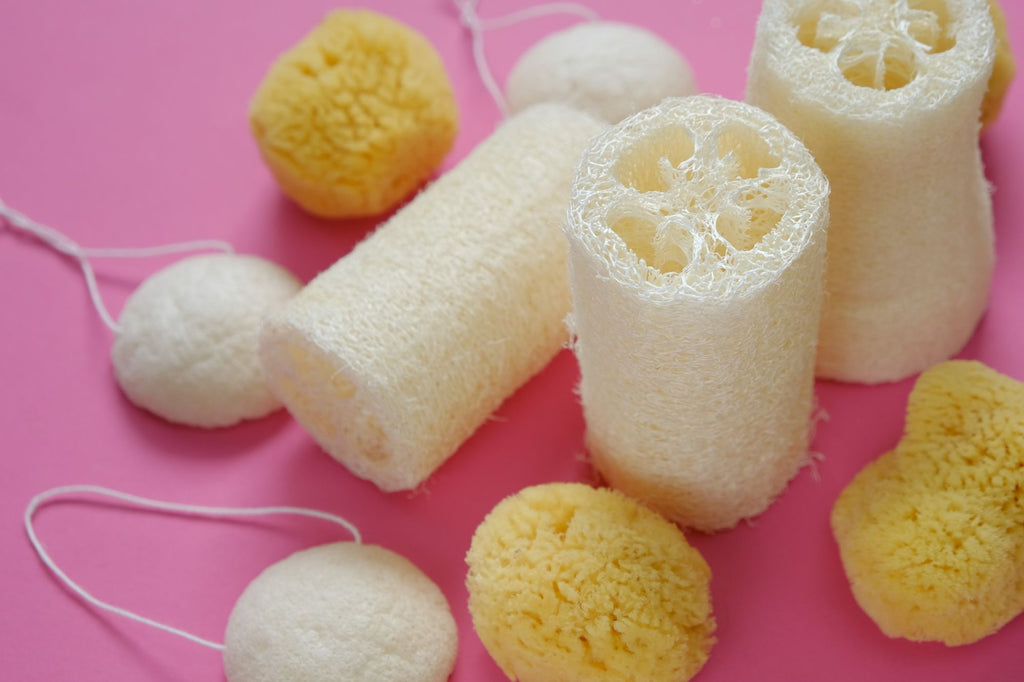 Natural and biodegradable loofah squash kitchen sponge - Oceansrespect