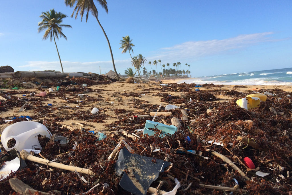 Ocean plastic pollution