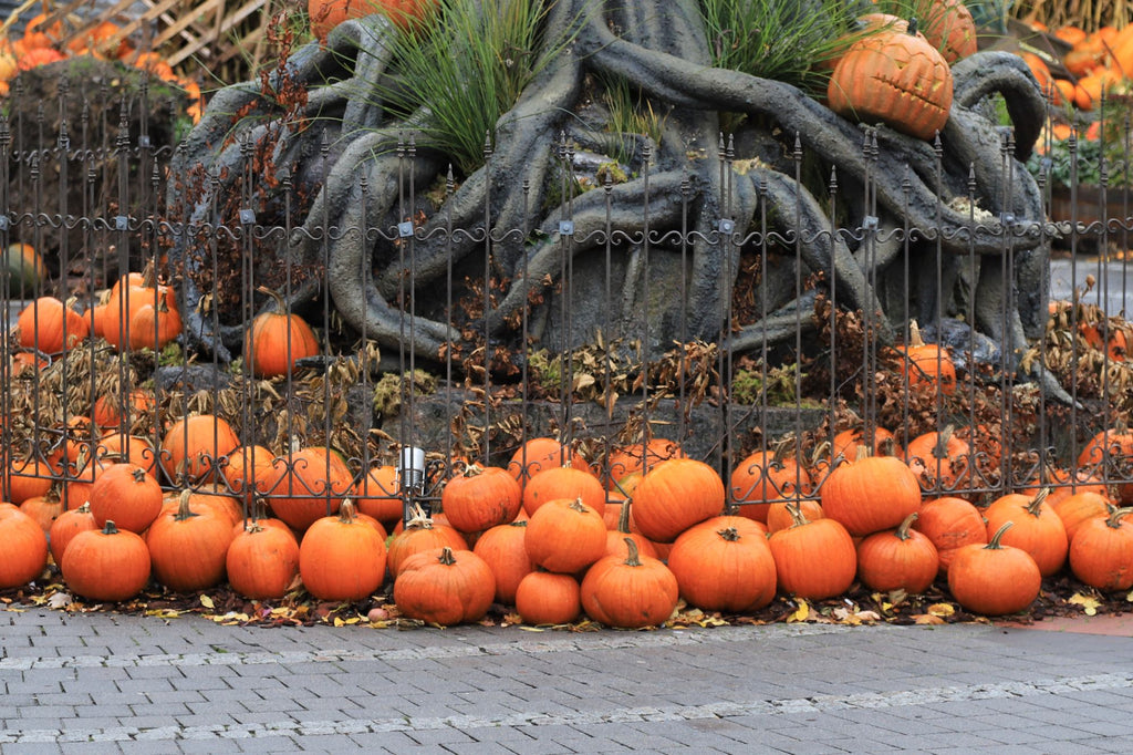 Zero Waste Halloween