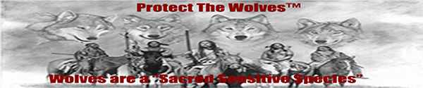 protectthewolves.org