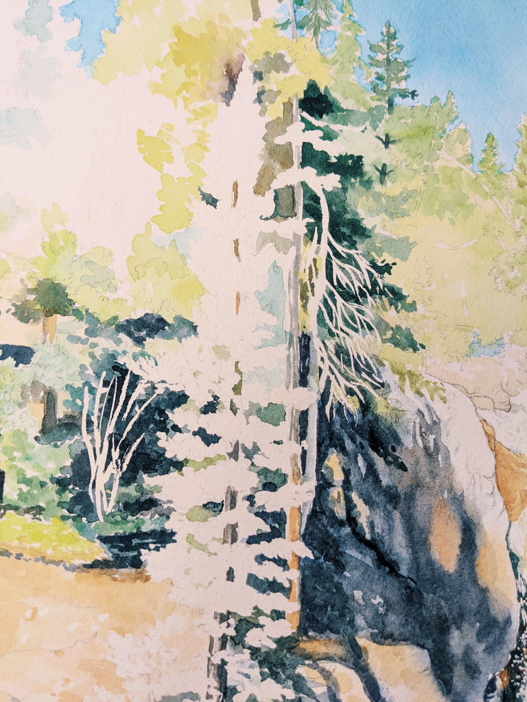 Painting Chasm Falls