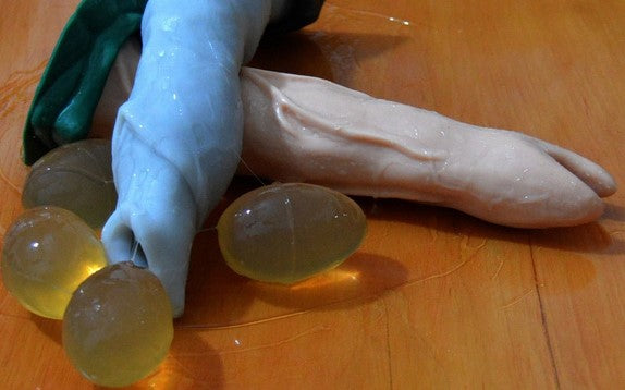 ovipositor dildos and eggs