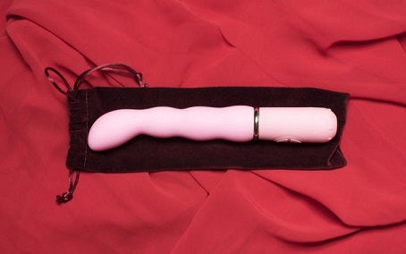 dildo and storage pouch