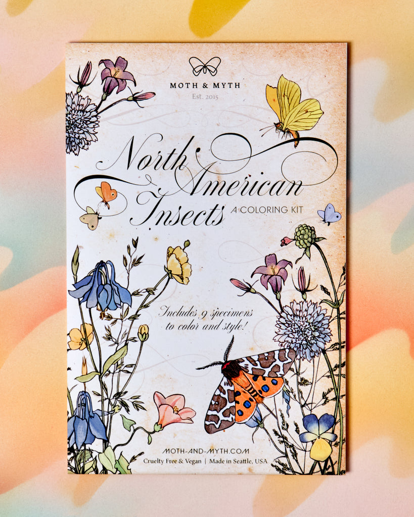 North American Insects Watercolor Kit – Crush