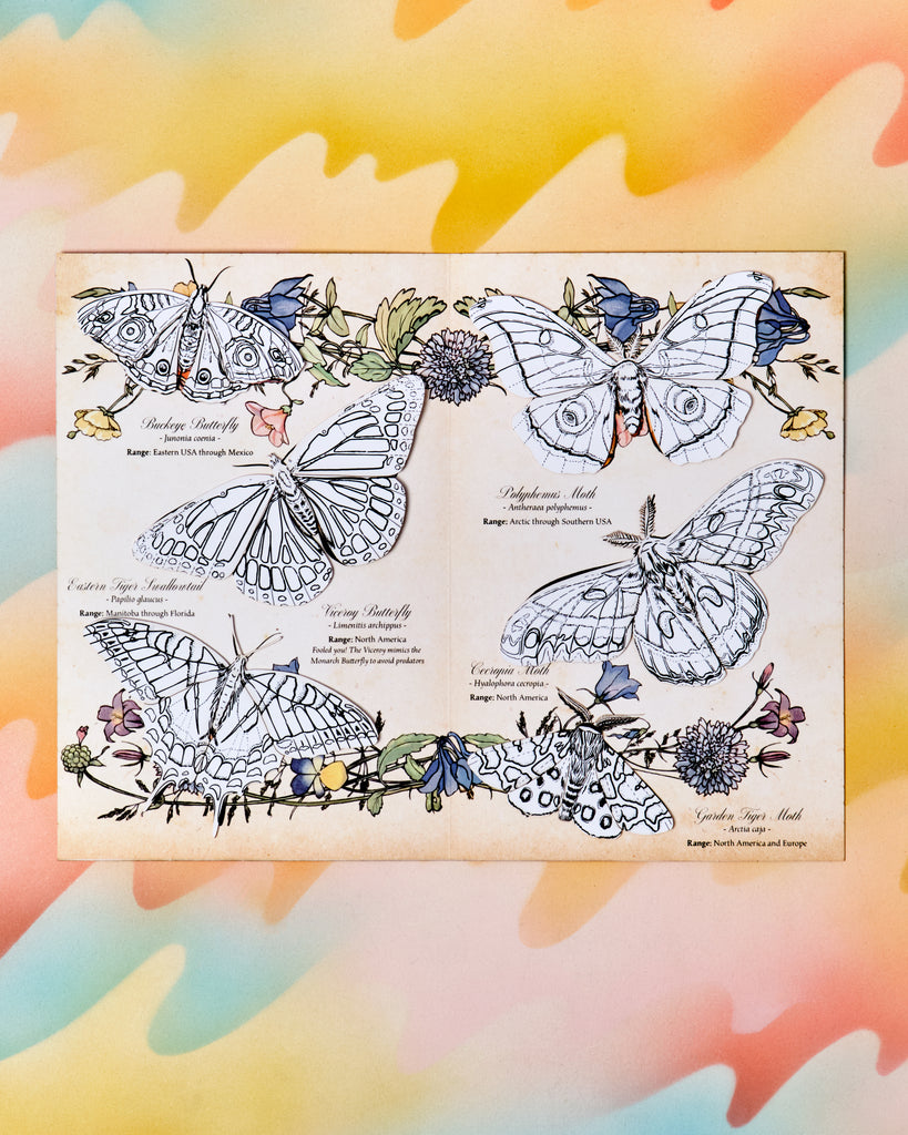 Butterfly Sketchbook & Drawing Set