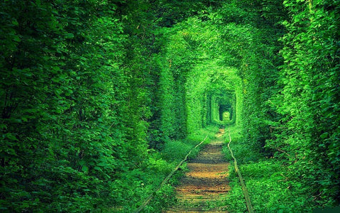 Tunnel of Love, Ukraine