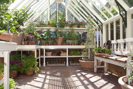 10 Tips For Greenhouse Gardening Success