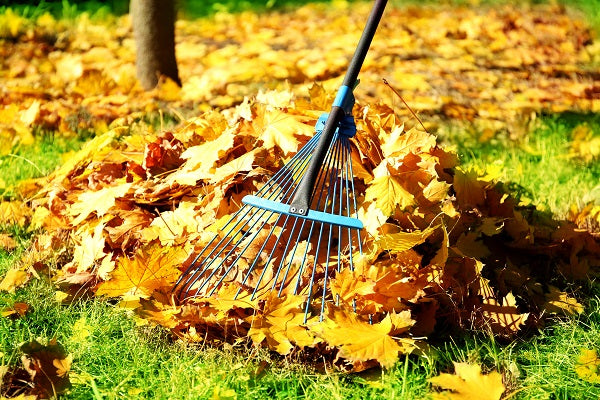 Top 10 Must-Do Gardening Jobs In October