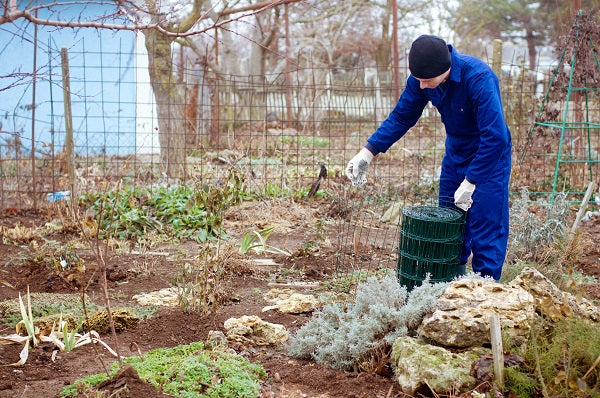 November Gardening Tips