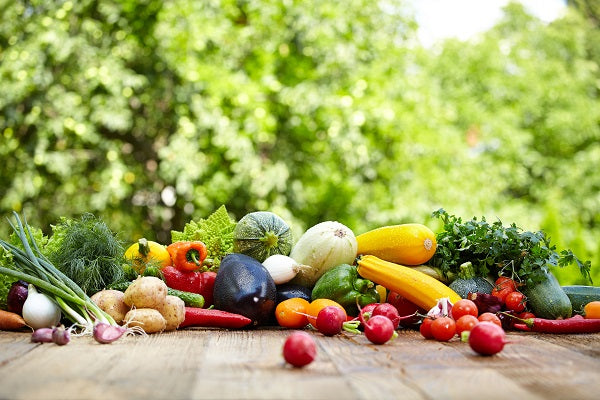 Starting A Vegetable Garden