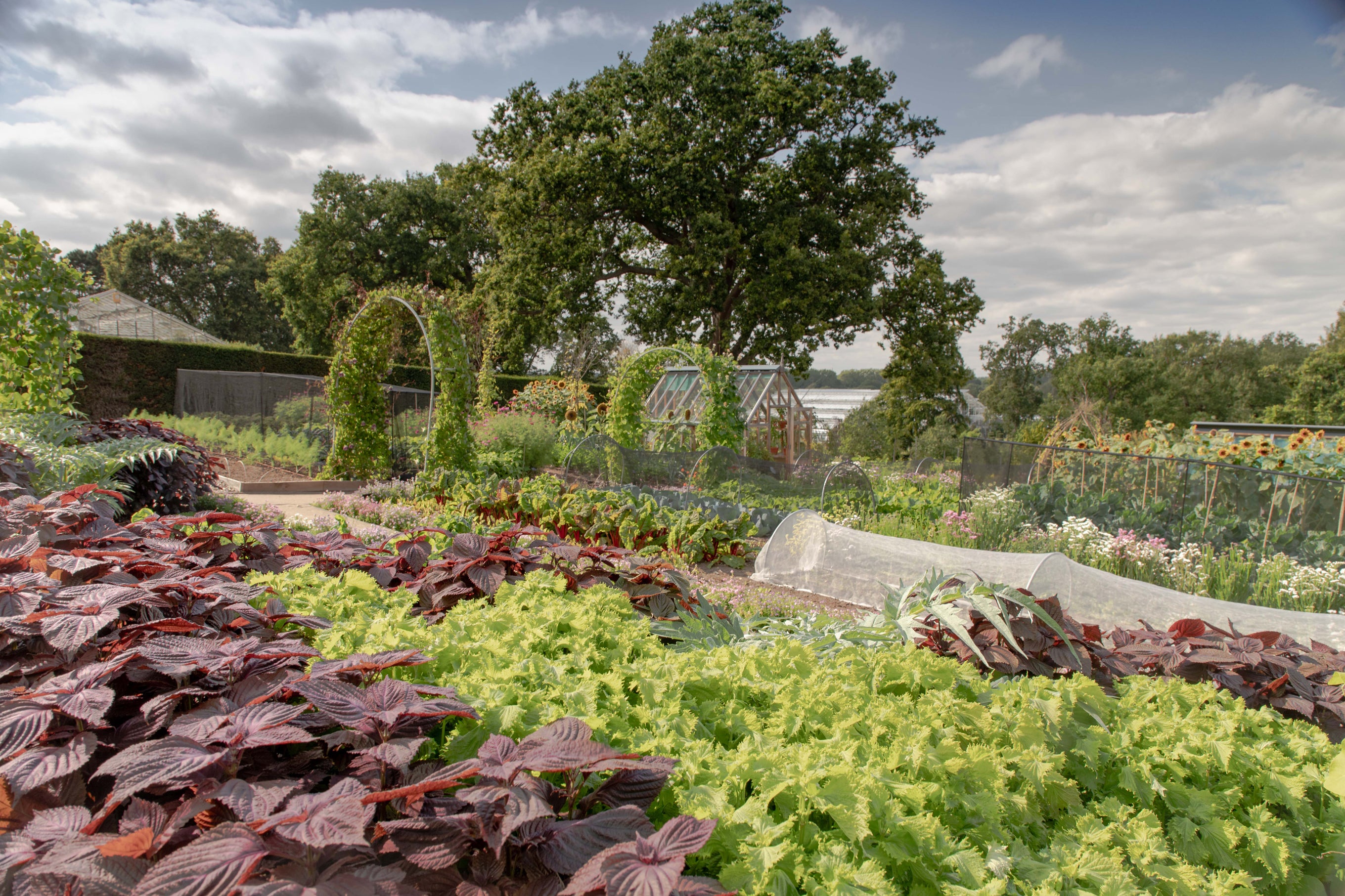 RHS School of Horticulture Graduation Ceremony 2019 