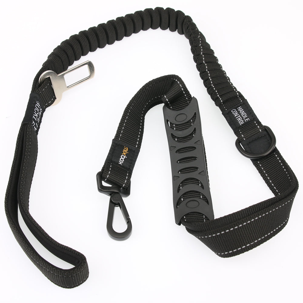 seatbelt leash