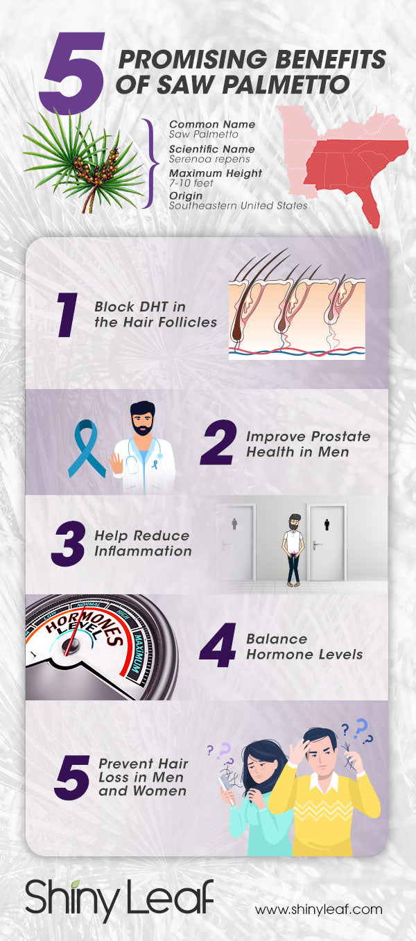 5 Benefits of Saw Palmetto Infographic