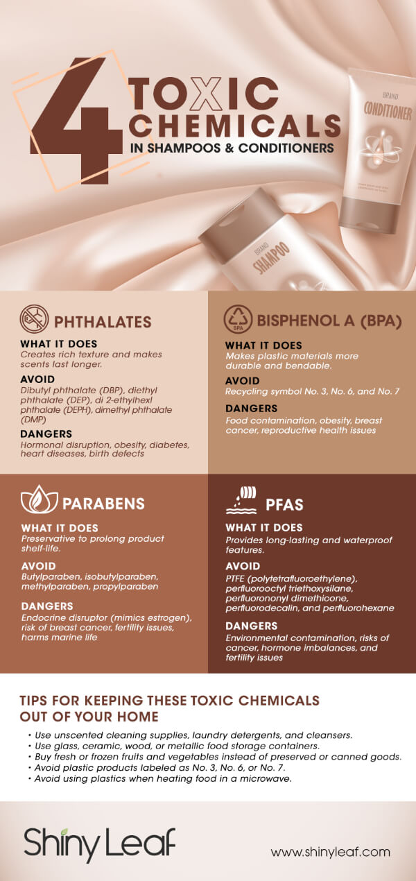 4 Toxic Chemicals in Shampoos and Conditioners Infographic