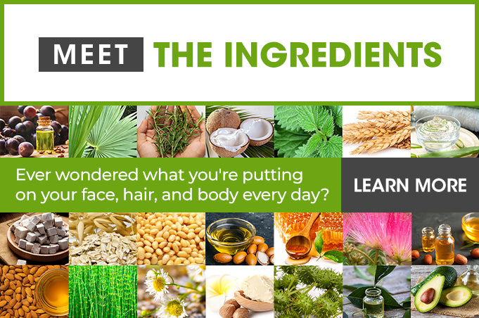 Meet the Ingredients
