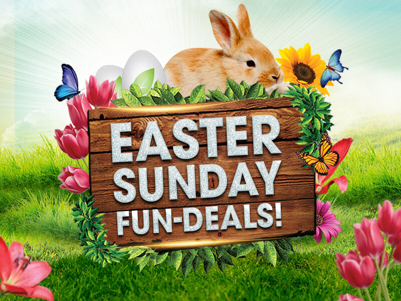 Enjoy Easter Sunday Fun Deals + FREE US SHIPPING!
