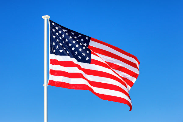 The Stars and Stripes Flag