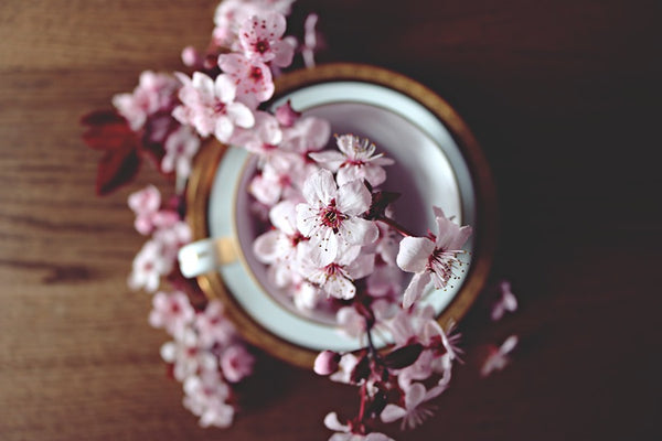 Flowers in container