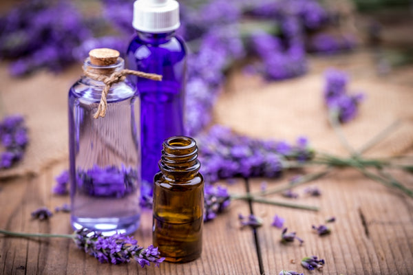 Lavender essential oil