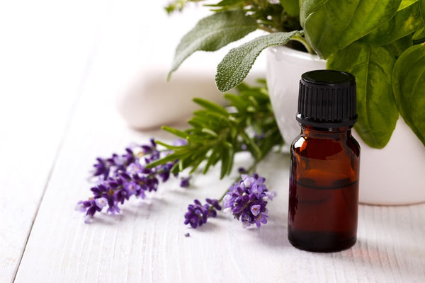 Lavender oil