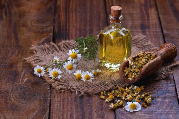 Chamomile oil