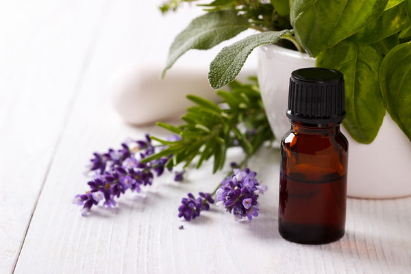 Lavender essential oil