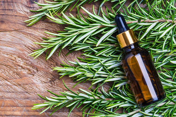 Rosemary essential oil