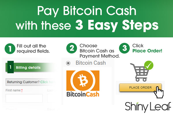Procedures for paying with bitcoin cash