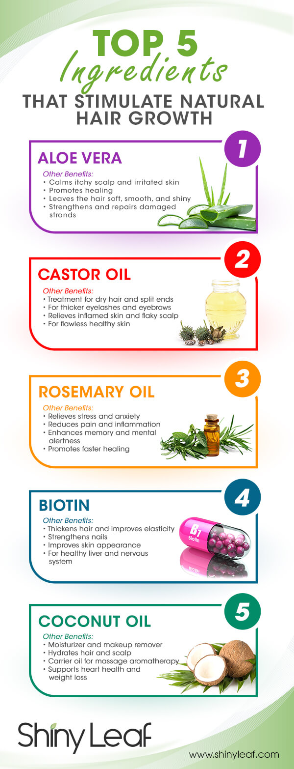 Top 5 Ingredients for Hair Growth Infographic