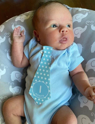 Tasty Tie Baby Boy Monthly Milestone Tie Stickers