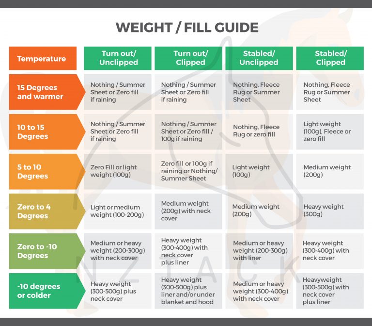 Rug Conversion Chart