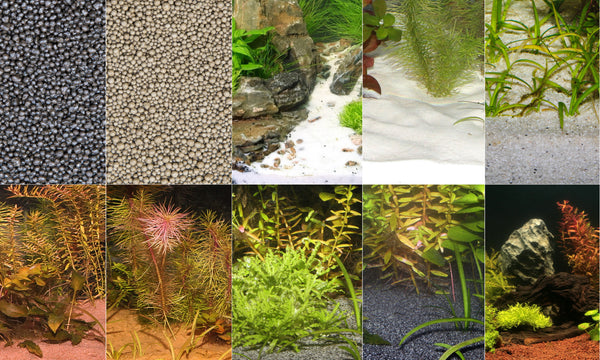 Quel substrat pour mon aquarium? —