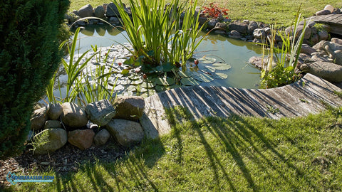 Ce bassin en acier : un étang dans votre jardin